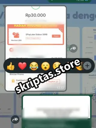 Bukti testimoni pelanggan Skriptas 8